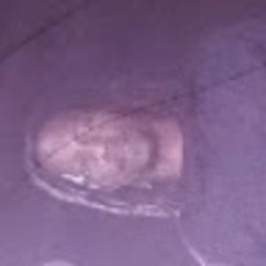 Meet your Posher, Dorothy